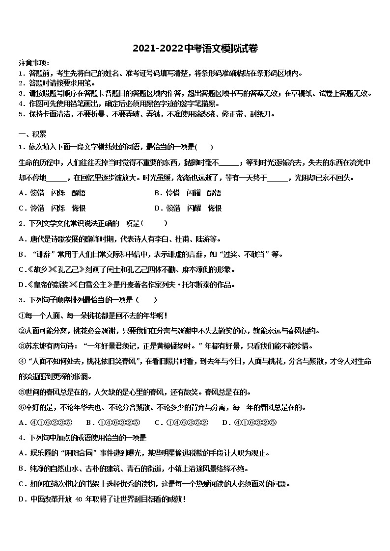 2022届山东省安丘市二中学中考二模语文试题含解析第1页