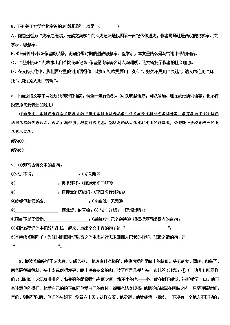 2022年广东省湛江市第二十七中学中考冲刺卷语文试题含解析第2页