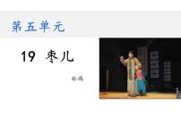 初中语文人教部编版九年级下册19 枣儿教学课件ppt