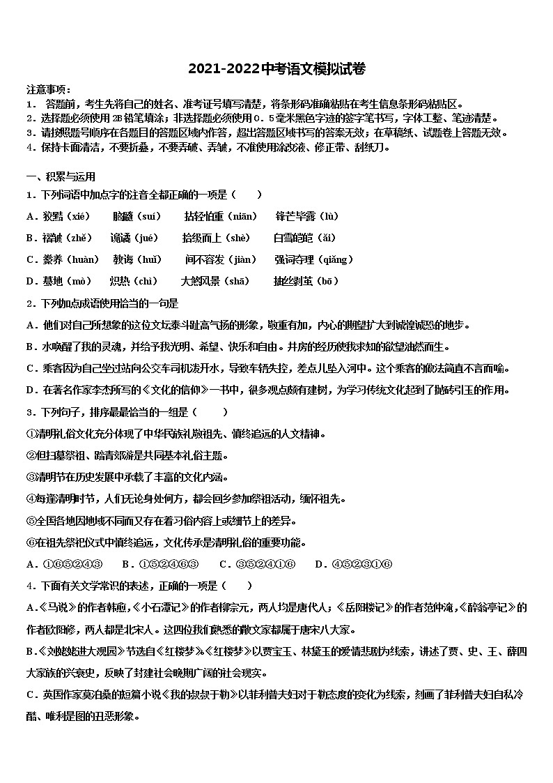 2022年安徽省合肥市中学科大附中中考语文对点突破模拟试卷含解析01