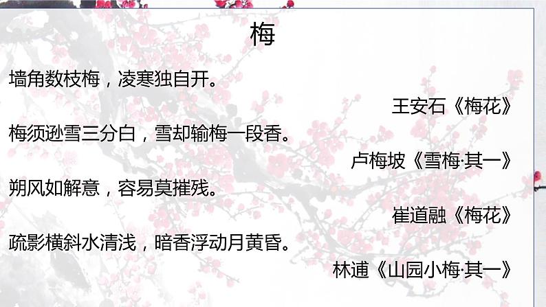 第六单元课外古诗词诵读《卜算子·咏梅》课件（共24张PPT）2021—2022学年部编版语文八年级下册03