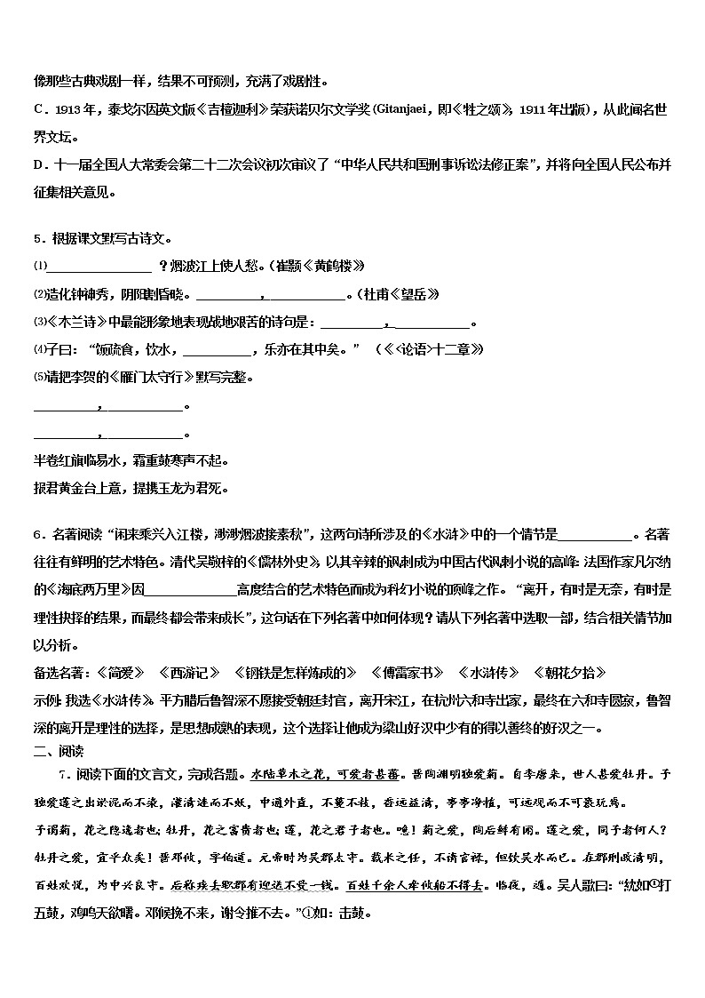 2022届浙江省嘉兴市嘉善县市级名校中考语文押题试卷含解析02