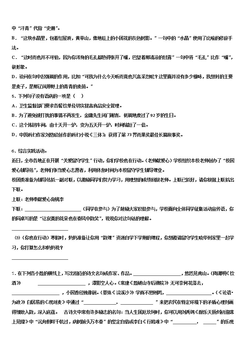 2022年江苏省兴化市安丰初中中考语文全真模拟试卷含解析02