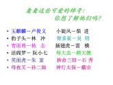 第六单元名著导读《水浒传》课件（30页PPT）2021-2022学年部编版语文九年级上册