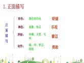 9下语文 课件第一单元 4 海燕（第二课时）教学课件