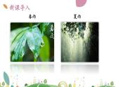 7上册语文 课件3 雨的四季