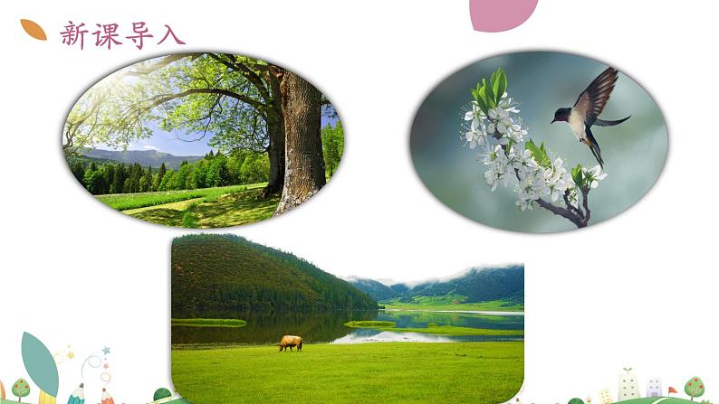 7上册语文 课件第六单元  发挥联想和想象第4页