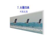 2021-2022 部编版语文 八年级下册 第7课  大雁归来 课件