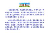 2021-2022 部编版语文 八年级下册 第7课  大雁归来 课件