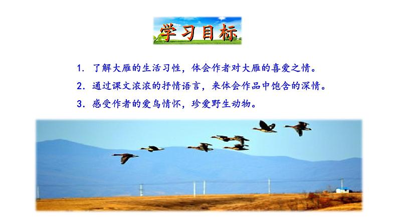 2021-2022 部编版语文 八年级下册 第7课  大雁归来 课件03