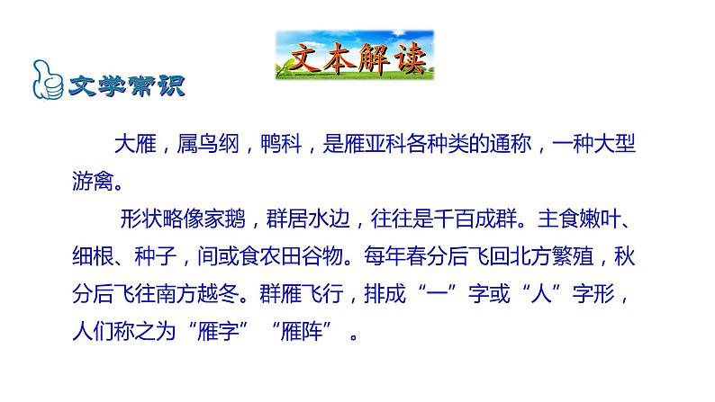 2021-2022 部编版语文 八年级下册 第7课  大雁归来 课件04