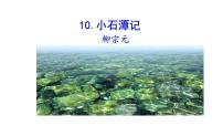 初中语文人教部编版八年级下册10 小石潭记图片课件ppt