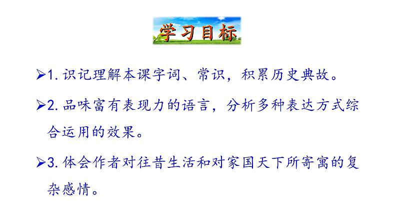 2021-2022 部编版语文 八年级下册 第4课  灯笼 课件第4页