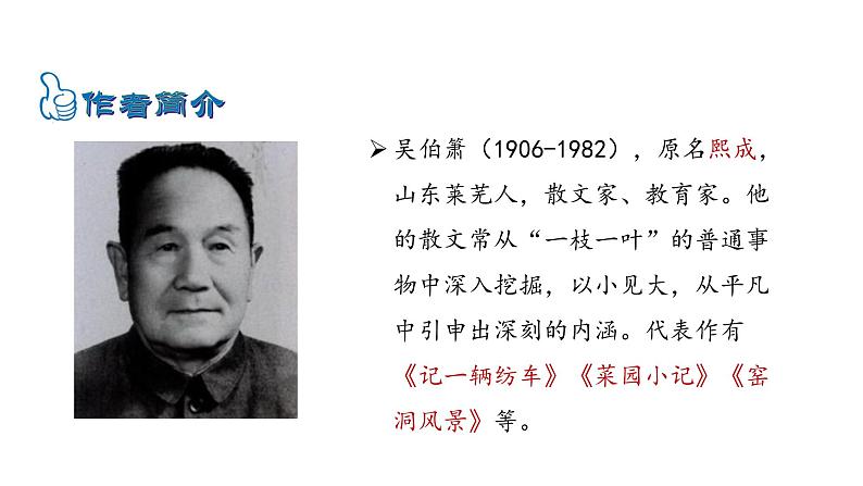 2021-2022 部编版语文 八年级下册 第4课  灯笼 课件第6页