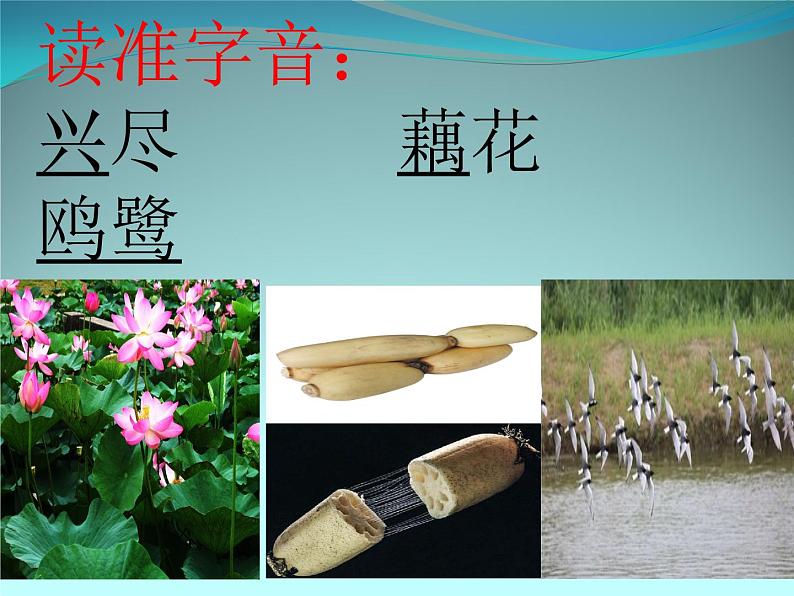 初中语文 人教课标版（部编） 八年级上册 如梦令（常记溪亭日暮） 课件(2)第7页
