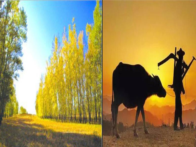 初中语文 人教课标版（部编） 八年级上册 表达要得体  课件06