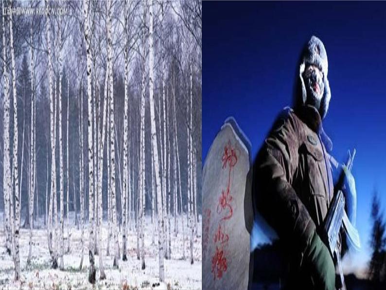 初中语文 人教课标版（部编） 八年级上册 表达要得体  课件07