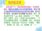 初中语文 人教课标版（部编） 八年级上册 表达要得体之细节描写 课件