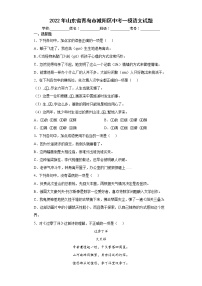 2022年山东省青岛市城阳区中考一模语文试题(word版含答案)