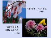 第18课《紫藤萝瀑布》课件(共27张PPT)（含音频）2021-2022学年部编版语文七年级下册