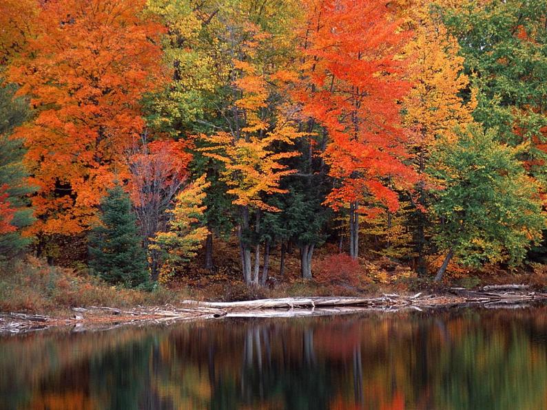初中语文 人教课标版（部编） 七年级上册 《秋词》《夜雨寄北》课件 课件03