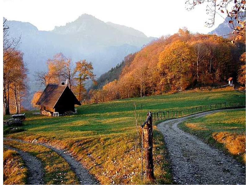 初中语文 人教课标版（部编） 七年级上册 《秋词》《夜雨寄北》课件 课件05