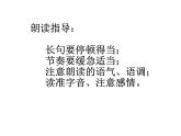 初中语文 人教课标版（部编） 七年级上册 闻王昌龄左迁龙标遥有此寄 《紫藤萝瀑布》 课件