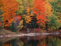 人教部编版七年级上册第六单元课外古诗词秋词（其一）教课ppt课件