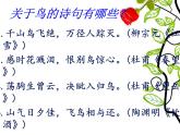 初中语文 人教课标版（部编） 七年级上册 太阳船 鸟 课件