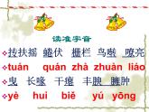 初中语文 人教课标版（部编） 七年级上册 太阳船 鸟 课件