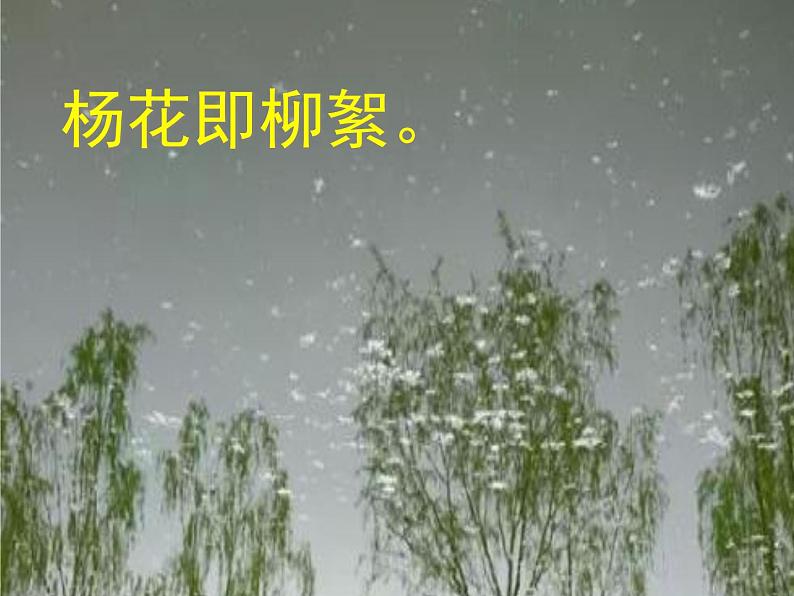 初中语文 人教课标版（部编） 七年级上册   闻王昌龄左迁龙标遥有此寄 课件05