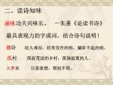 初中语文 人教课标版（部编） 七年级上册 《十一月四日风雨大作（其二）》课件 课件