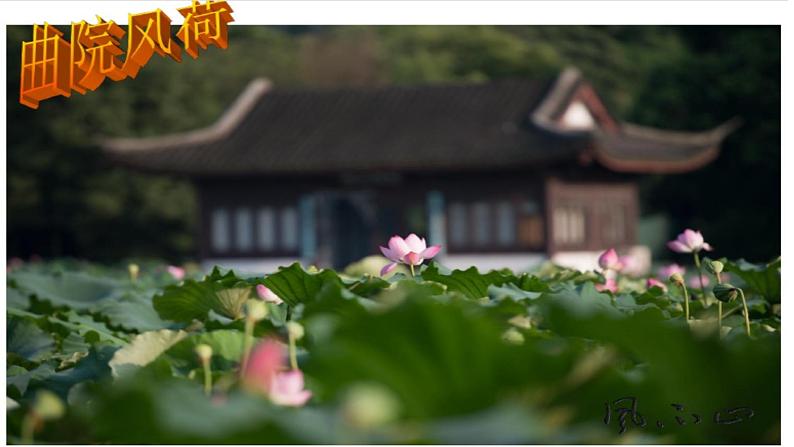 初中语文 人教课标版（部编）八年级上册《钱塘湖春行》ppt 课件08