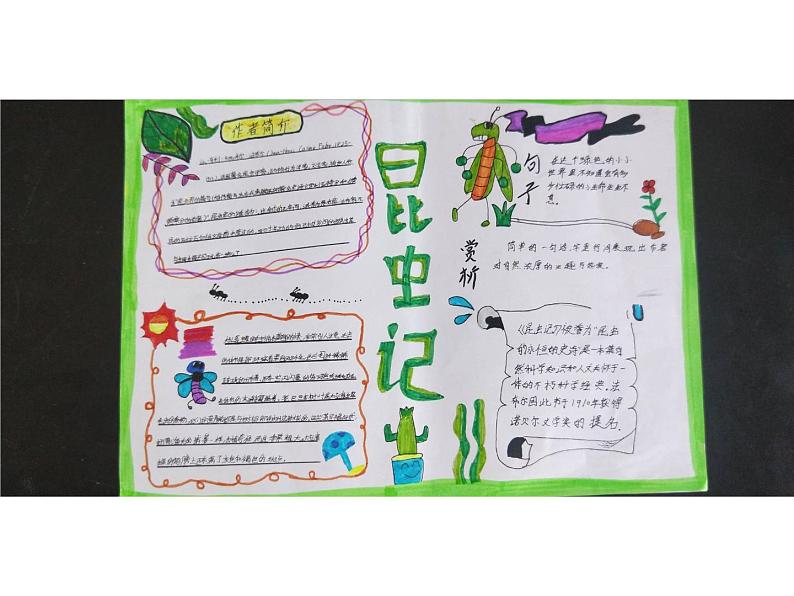 初中语文 人教课标版（部编）八年级上册《昆虫记》：科普作品的阅读 昆虫记 课件(2)第8页