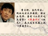 初中语文 人教课标版（部编）九年级上册 16 孤独之旅  课件(2)