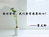 初中语文 人教课标版（部编）九年级上册 16 孤独之旅  课件(2)