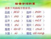 初中语文 人教课标版（部编）九年级上册 15 我的叔叔于勒  课件