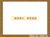 初中语文 人教课标版（部编）九年级上册 16 孤独之旅 九上《孤独之旅》课件