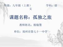 初中语文17* 孤独之旅教课ppt课件