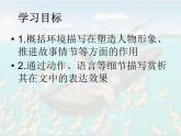 初中语文 人教课标版（部编）九年级上册孤独之旅  课件