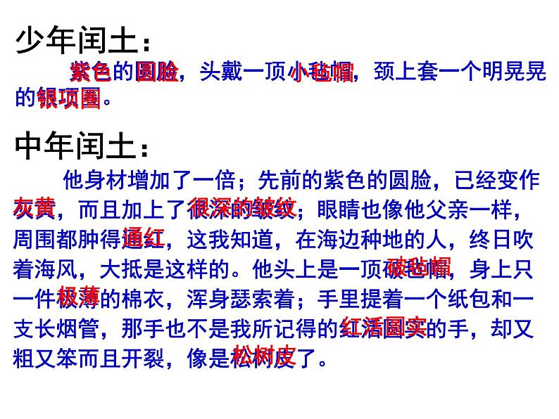 初中语文 人教课标版（部编）九年级上册 14 故乡《故乡》课件第8页