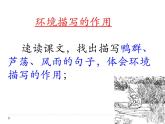 初中语文 人教课标版（部编）九年级上册 16 孤独之旅《孤独之旅》课件