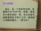初中语文 人教课标版（部编）九年级上册 16 孤独之旅《孤独之旅》 课件