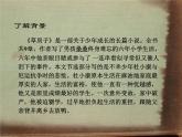 初中语文 人教课标版（部编）九年级上册 16 孤独之旅《孤独之旅》 课件