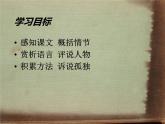 初中语文 人教课标版（部编）九年级上册 16 孤独之旅《孤独之旅》 课件