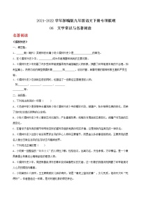 06文学常识与名著阅读九年级语文下册基础知识专项梳理（部编版）练习题