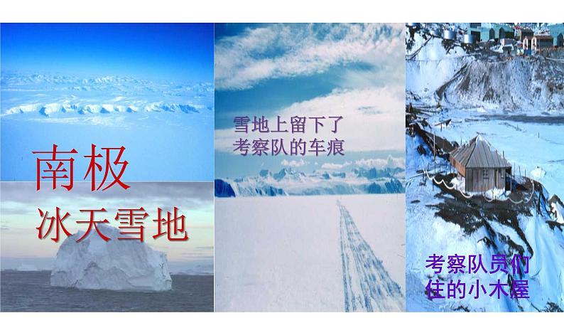 部编版七年级语文下册----22《伟大的悲剧》课件第1页