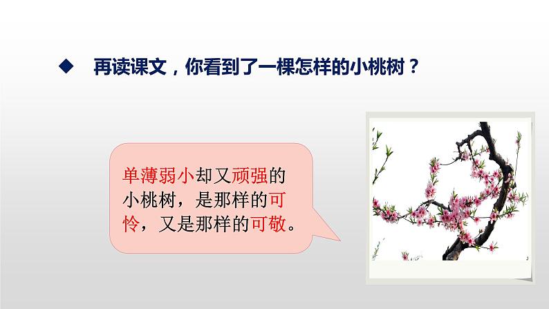 部编版七年级语文下册----19 一颗小桃树课件PPT08