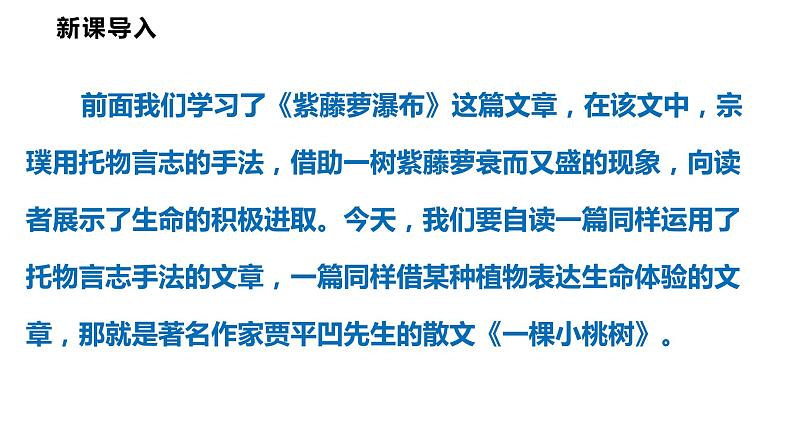 第19课 一颗小桃树-七下第五单元（共2课时）第4页