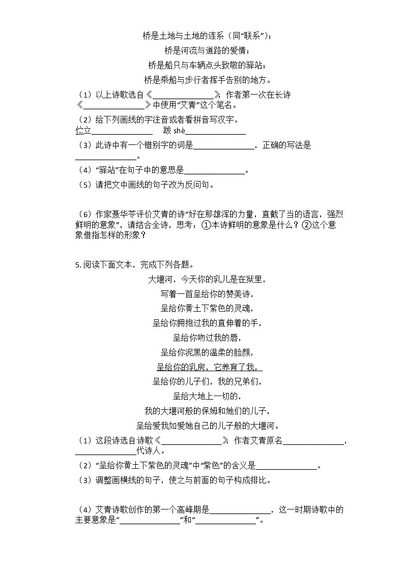 2021年中考语文一轮复习：名著导读《艾青诗选》练习题第2页